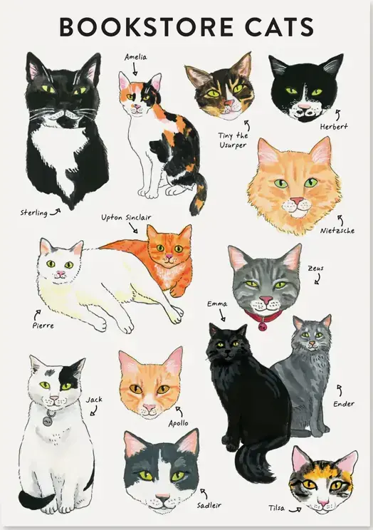 Köp direkt | Bookstore Cats Flexi Journal