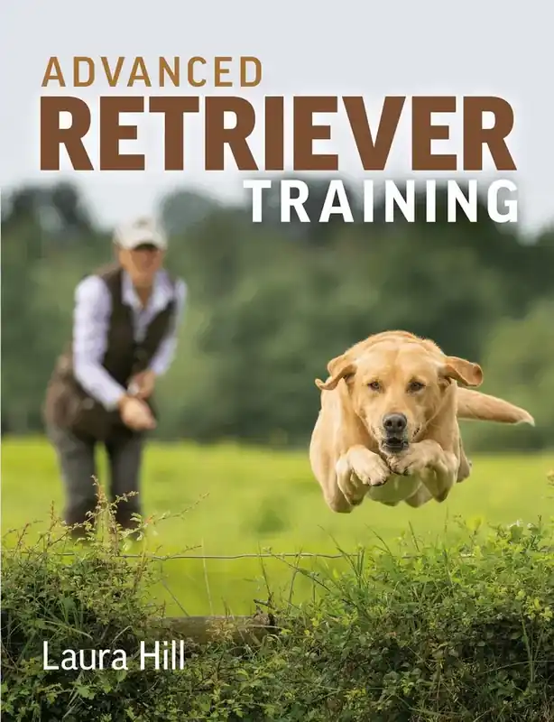 Missa inte | Advanced Retriever Training