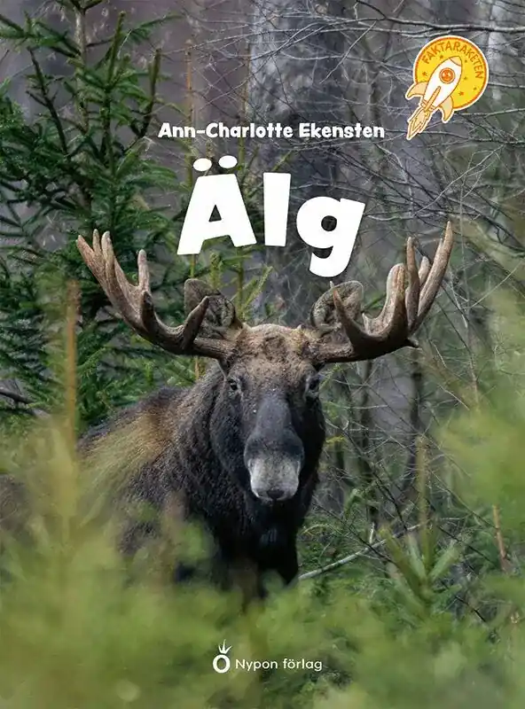Bara idag - Älg