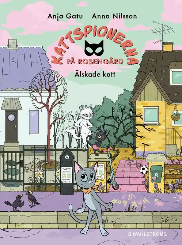 Älskade katt - Missa inte