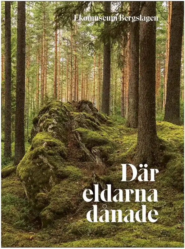 Där eldarna dånade | Nedsatt pris