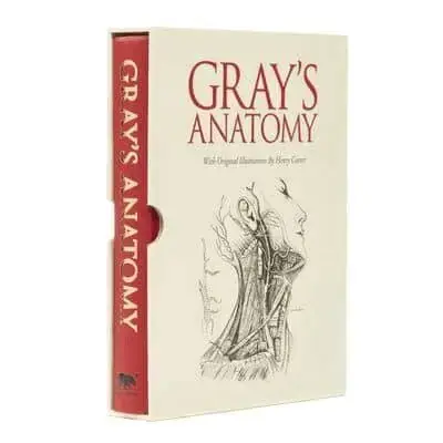 Outlet | Gray‘s Anatomy