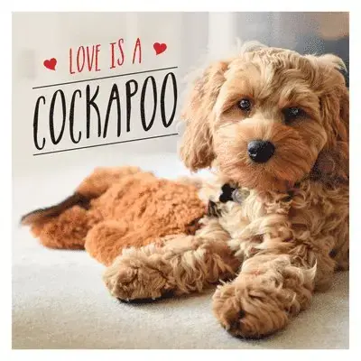 Love is a Cockapoo - Handla online