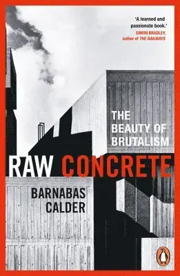 Raw Concrete - Tidsbegränsat erbjudande